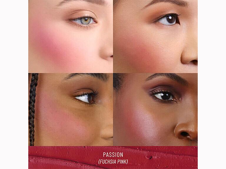 Resized Media/1038829 HigherStandard ShadeRange Passion