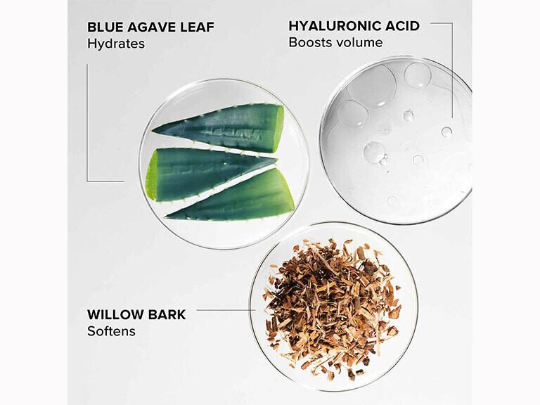 Resized Media/ALPYLCR1062409 2581213 5