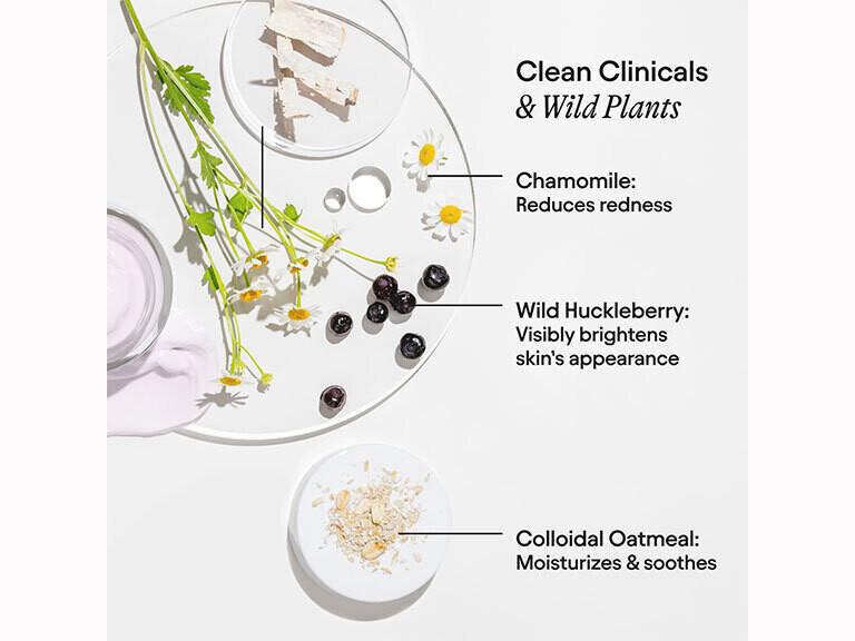Resized Media/ALPYN HUCKLEBERRY PEEL FULL 7