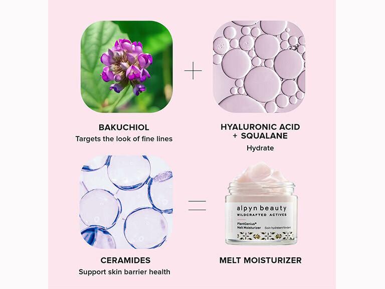 Resized Media/ALPYN MELT MOISTURIZER FULL 5