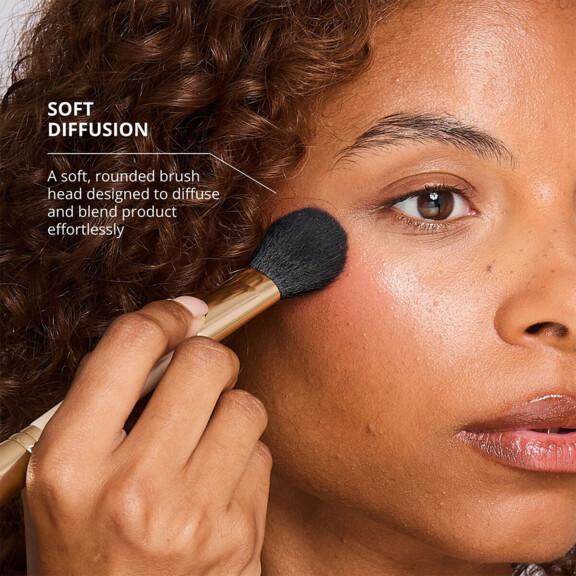 Resized Media/SPECATL2000006 SPECTRUMCOLLECTIONS ALLABOUTTHEBRUSHD10BLUSHDUO FULL TEXTURE