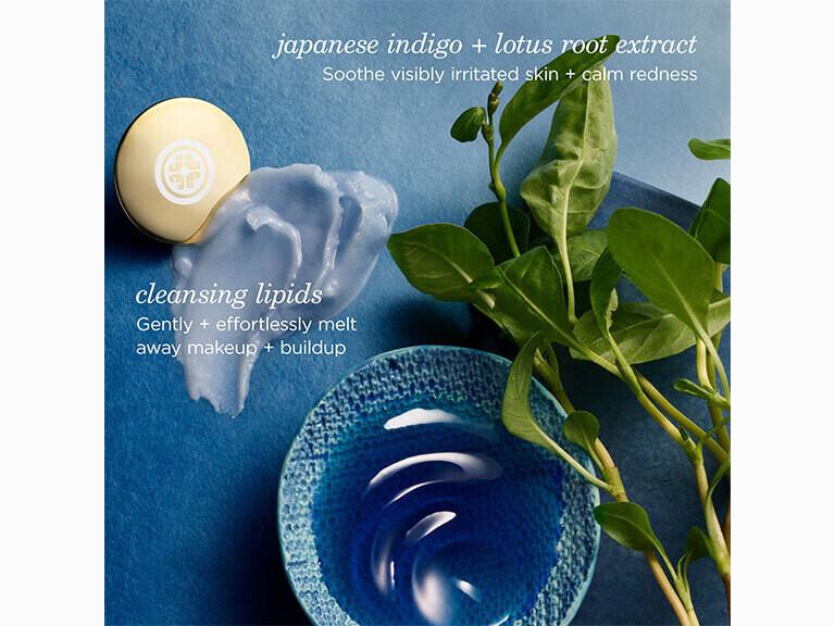 Resized Media/TATCCLS1064406 Tatcha ICB Full 05